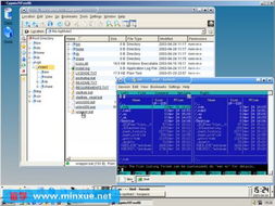 CygwinEasy2007光盤運行版與Cygwin Release 2006 回顧經典Windows軟件開發與運行平臺服務